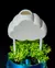 Regador Rain Cloud Plant Waterer - loja online