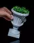 Cachepot Roman Cup Planter - loja online