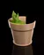 Luminaria Snake Plant Wall Light na internet
