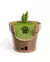 Luminaria Snake Plant Wall Light - comprar online