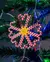 Porta Copos Star Barley Sugar na internet