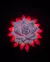 Luminaria The Lotus Wall Light 