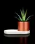 Cachepot porta lapis VOXEL Trinket Dish & Planter - comprar online