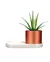 Cachepot porta lapis VOXEL Trinket Dish & Planter - Stoodeo