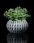 Cachepot Xander Planter - loja online