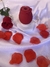 VIBRADOR EM FORMATO DE FLOR COM SUCÇÃO + Brinde um lubrificante íntimo