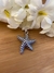 Pingente estrela do mar Prata925 - comprar online