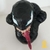 Estátua Venom - Busto - comprar online
