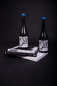 BLEND DE TINTAS Cabernet Franc / Cabernet Sauvignon (750ml) - comprar online