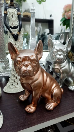 Perro Rodo