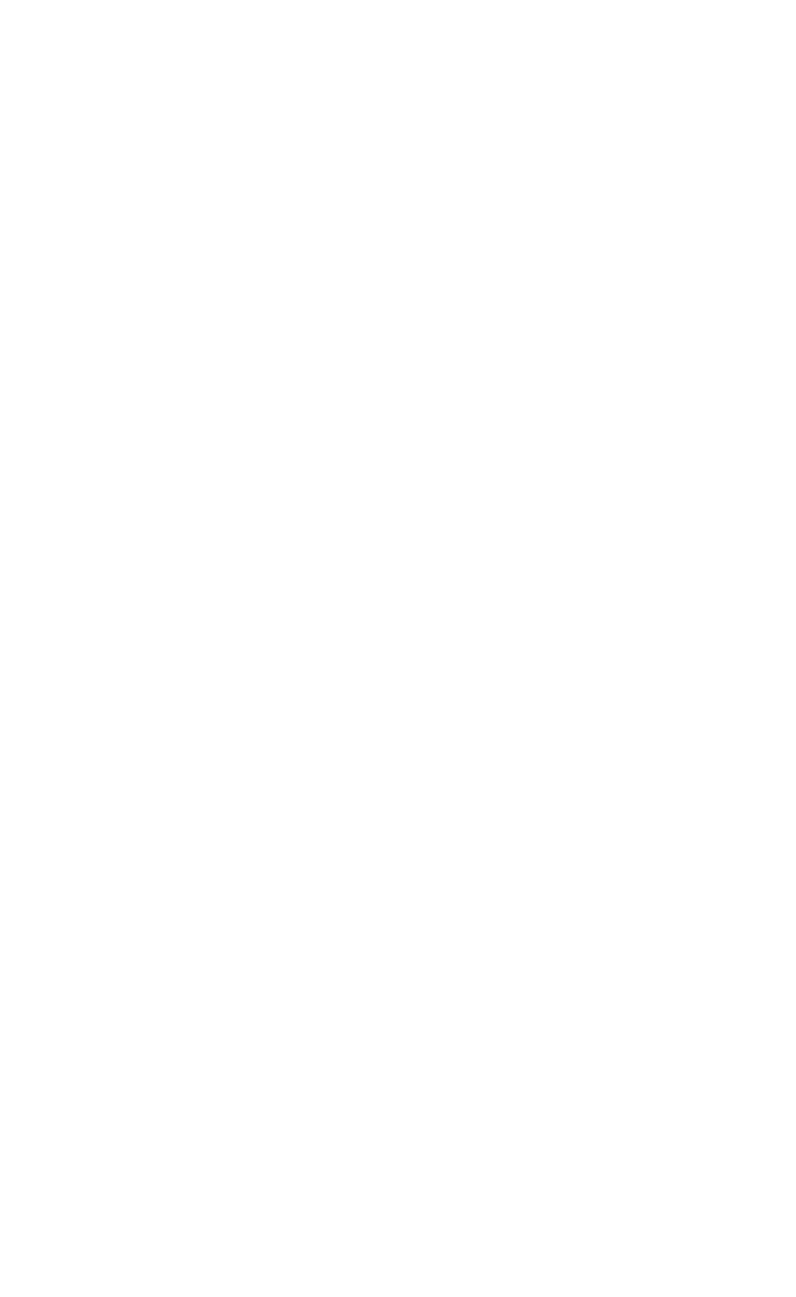 mijoyero.mx