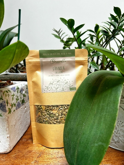Granola Salgada - comprar online