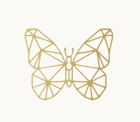 Charlotte Boutique