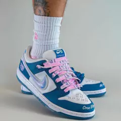NIKE SB DUNK LOW BORN X RAISED en internet