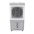 Climatizador CLIN60 PRO Branco e Preto 60 Litros 150W Ventisol