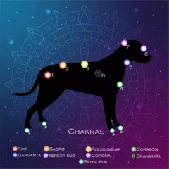 Paño Tapiz Reiki A Distancia Para Perros O Gatos 70 Cm. X 70