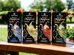 Sahumerios Magicos Aromanza X 3 unidades - comprar online