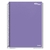 CADERNO UNIV 1M ESSENCIALE 80 FLS