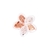 KIT FLOR DE LOTUS ROSE GOLD SET CLIPS PERCEVEJOS BINDERS na internet