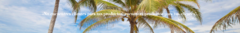 Banner de la categoría Fotos & Videos
