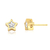 Brinco Feminino Estrela Amoeto Banhado a Ouro 18k