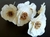 FLOR MAGNOLIA DIFUSORA VARILLA en internet