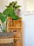 Canasto Stripes - comprar online