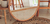 Banner de FiLo Home