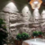 Revestimento de Parede Pedra Leve Decorativa Marfim | 1,20m x 0,60m | 3cm espessura. - loja online