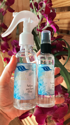 Curso Aromas para Casa na internet