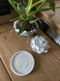 Flor de Lótus - comprar online