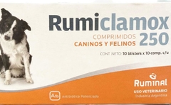 RUMICLAMOX 250 MG X 100 COMP