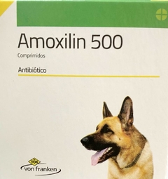 AMOXILIN 500 X 100 COMP