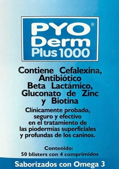 PYO DERM PLUS 1000MG X 200 COMP