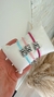Pulseira cordão colorido Teddy - comprar online