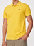 Polo Colcci - loja online