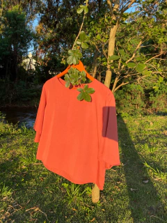 Blusa Aroeira - Pitanga - comprar online