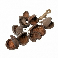 RISTRA - BADAM