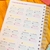 Planner Financeiro - Amor Perfeito