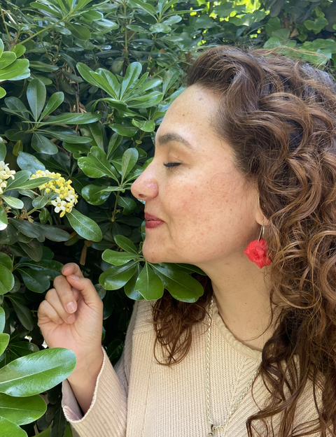 Aros Rosa roja gancho de plata 925 largo