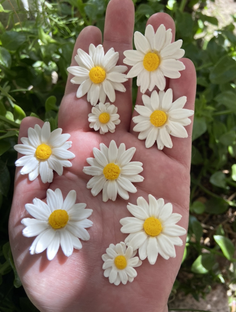 Aros Margarita gancho de plata 925