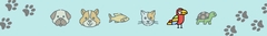 Banner de la categoría Aves
