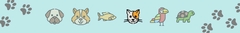 Banner de la categoría Gatos