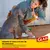 Tapete Entrenador para Perro Glad - 5 Capas Ultra Absorbentes y Neutralizador de Olores - comprar en línea