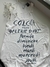 Regata Colcci
