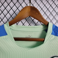 Camisa do Palmeiras Verde e Azul 2022/23 - Treino
