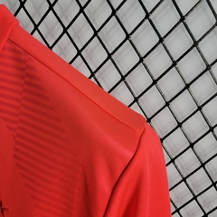 Camisa do Palmeiras Vermelha 2022/23 - Treino na internet