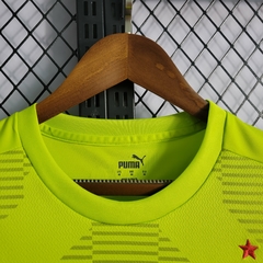 Imagem do Camisa do Palmeiras Verde 2022/23 - Goleiro