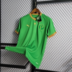 Camisa do Palmeiras 2021/22 - Edição Especial na internet