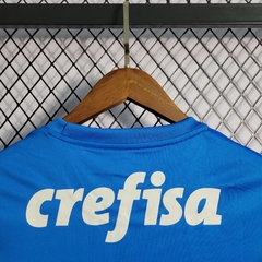 Camisa do Palmeiras Azul 2022/23 - Goleiro - comprar online